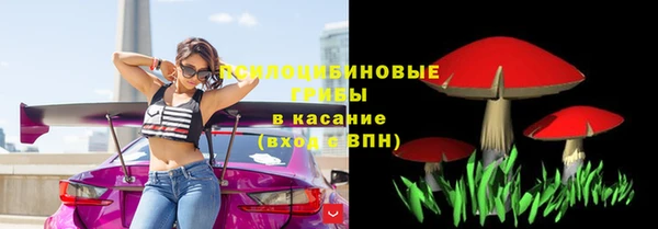 гашик Бежецк