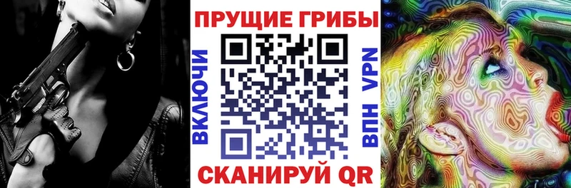 кракен зеркало  Ленинградская  Псилоцибиновые грибы мицелий 